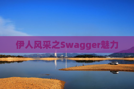 伊人风采之Swagger魅力
